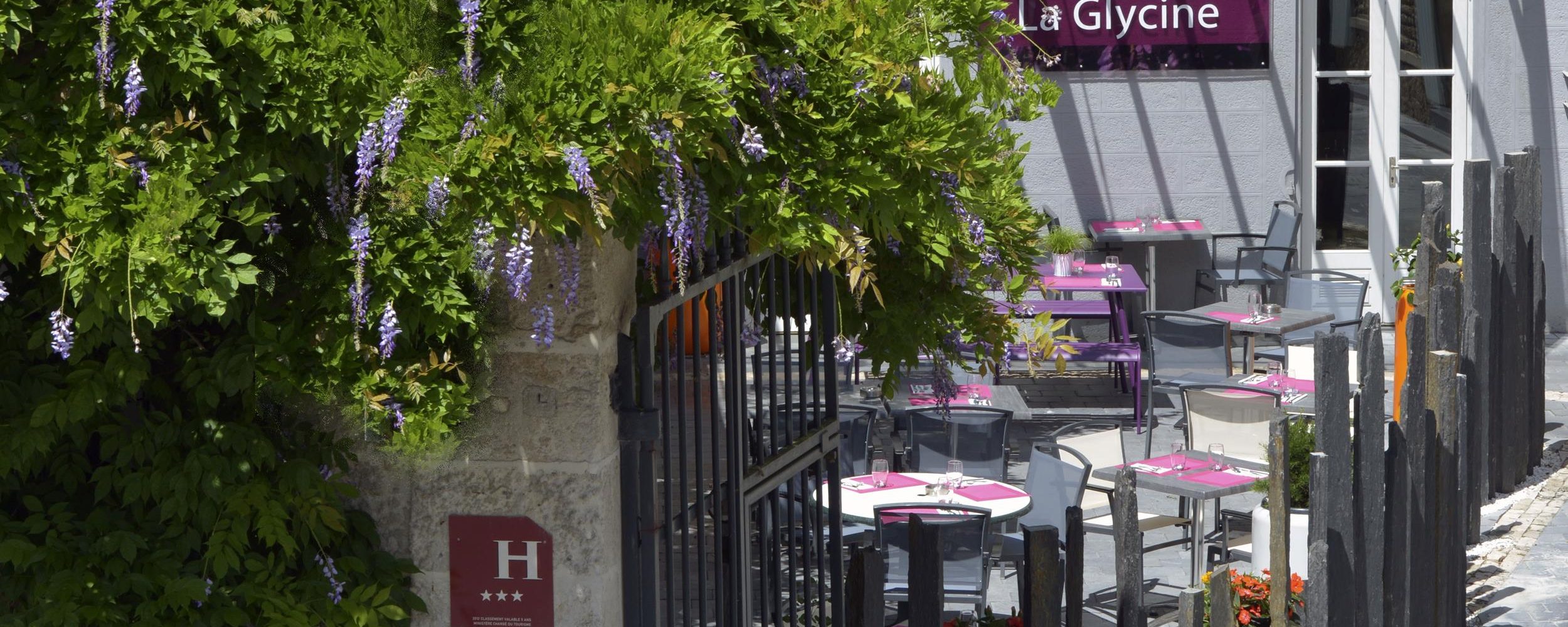 DSC_1137 tersb165250